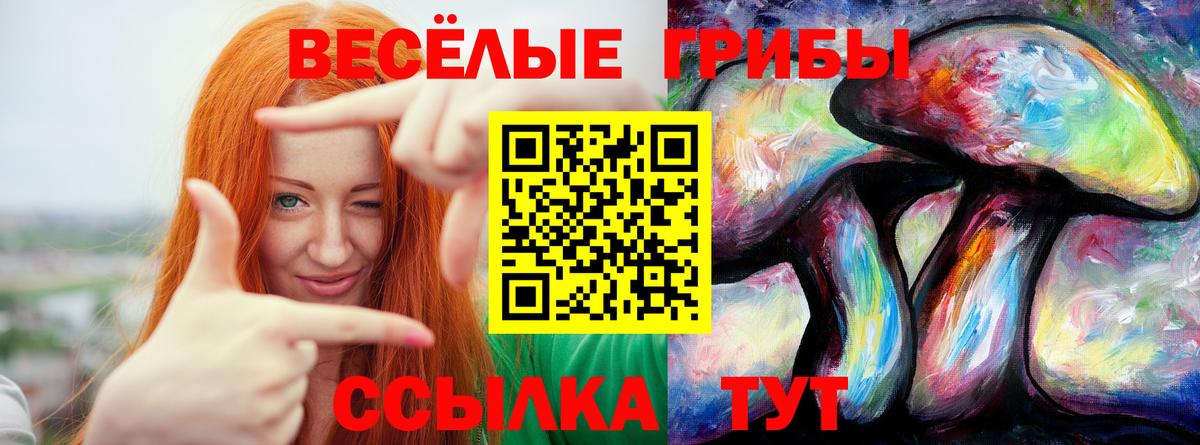 Рассказово  Псилоцибиновые грибы Psilocybe  Вход с VPN  Псилоцибиновые грибы GOLDEN TEACHER 